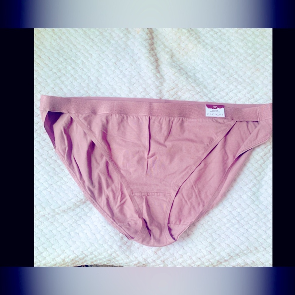 Lane Bryant panty 26/28 Lavender